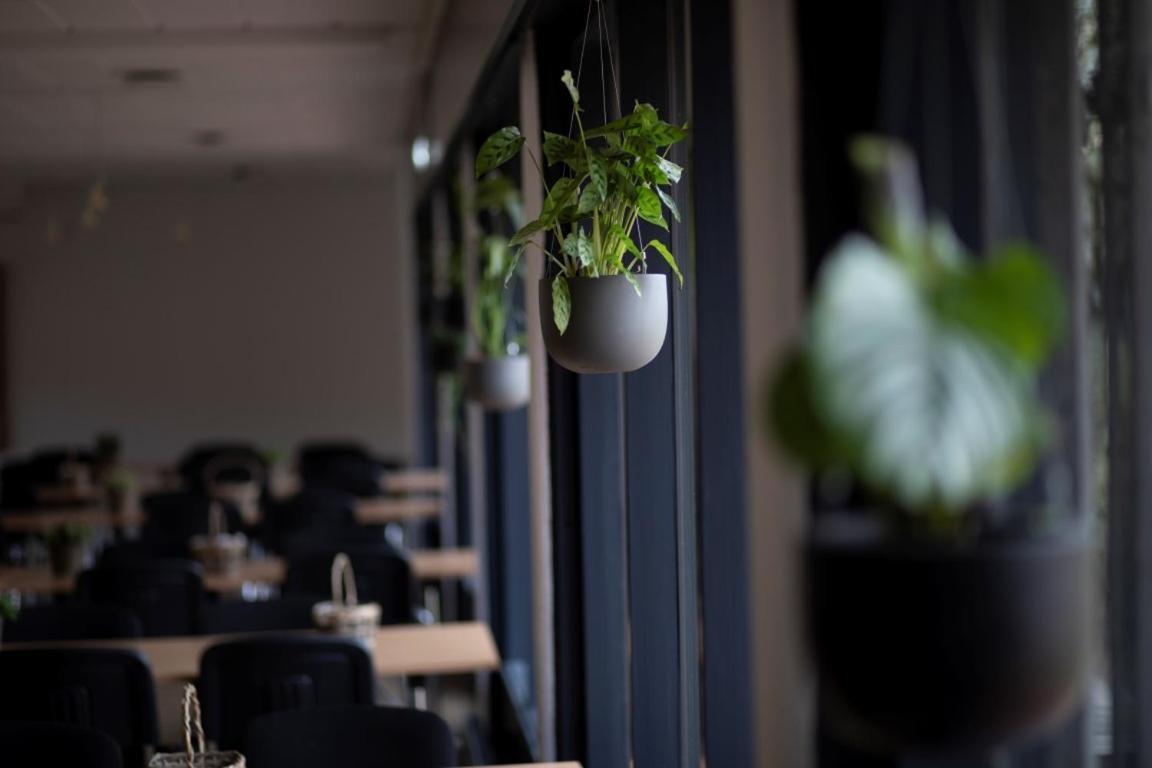 Danhostel Sonderborg City Zewnętrze zdjęcie